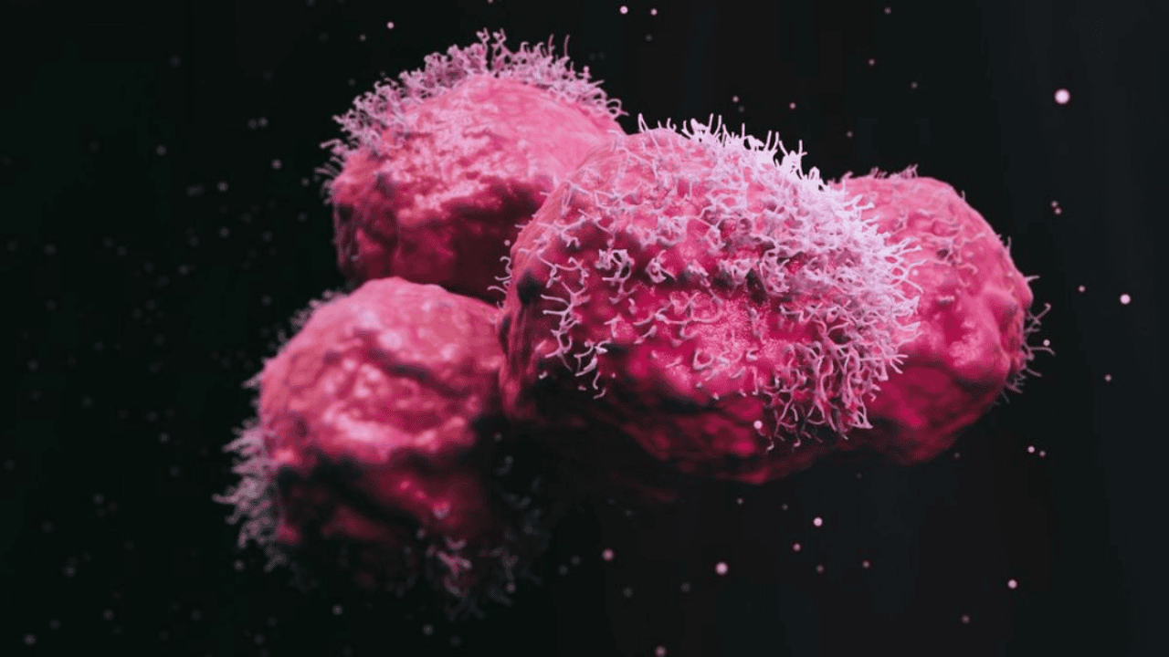 cornell-research-pancreatic-cancer-metastasis
