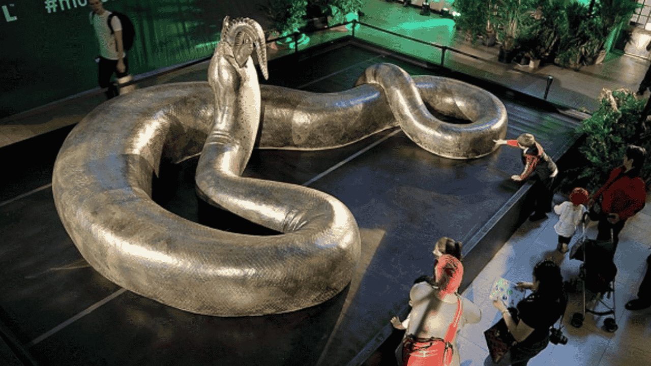 titanoboa-largest-snake-ever-discovered