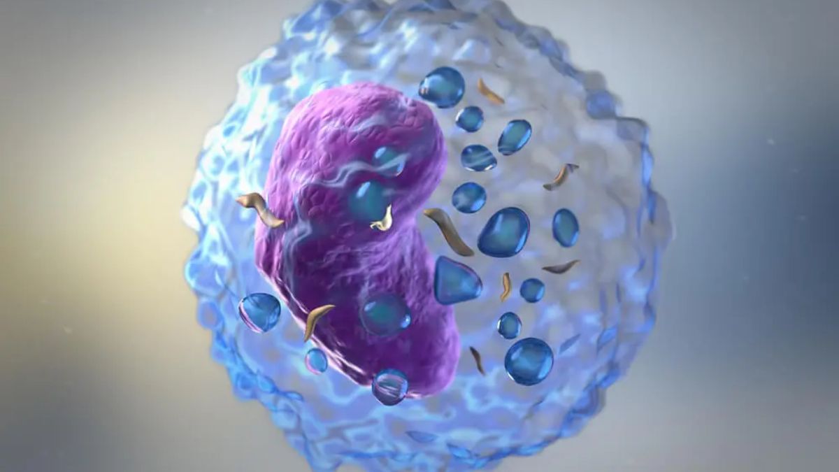 Cysteine-Rich Diet