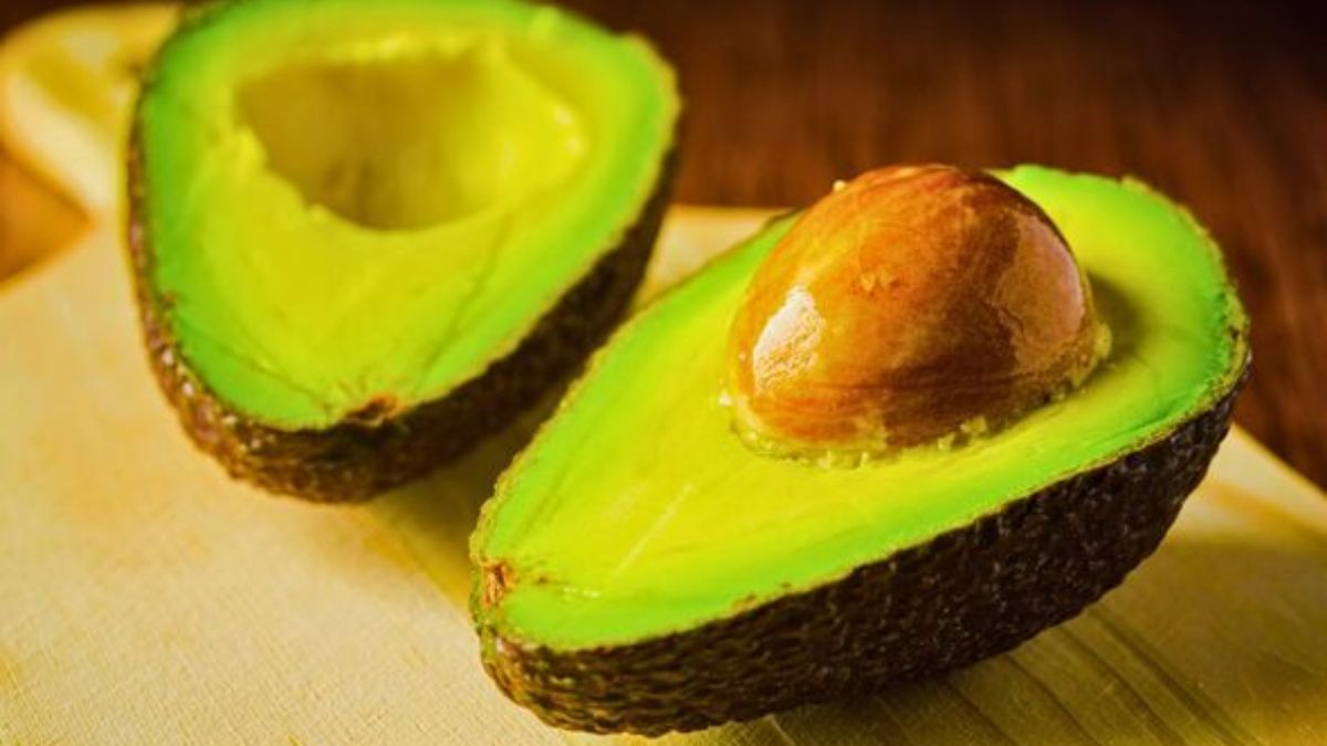 Avocado