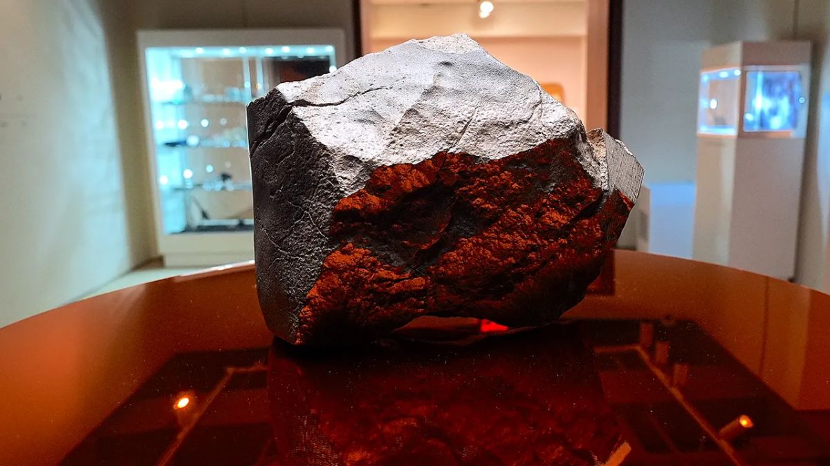 Martian Meteorite