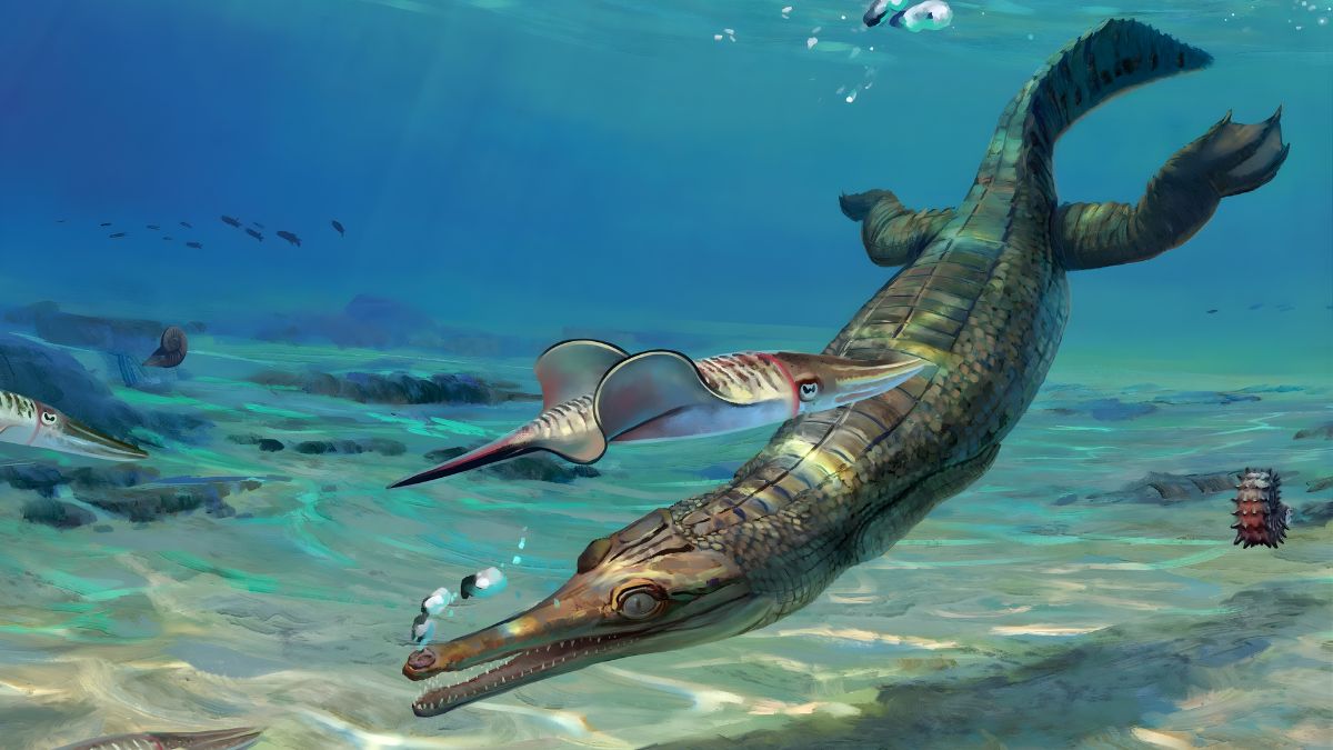 New Crocodile Fossil